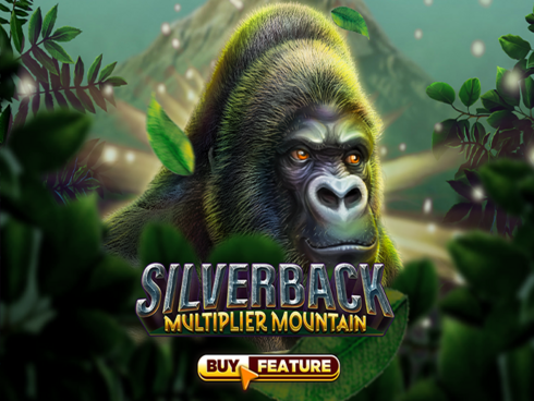 Silverback Multiplier Mountain